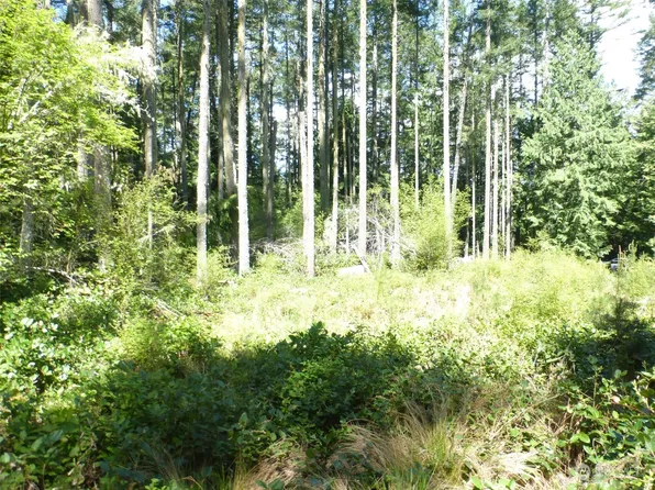681 Pavey Boulevard, Lopez Island, WA 98261
