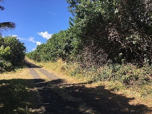 2nd image of Lot 16