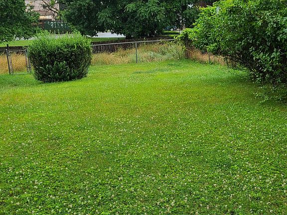Fenced yard