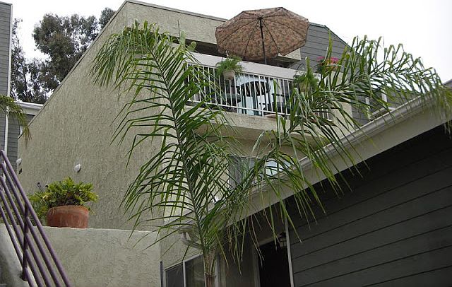 1st image of 2251 Worden St APT 10