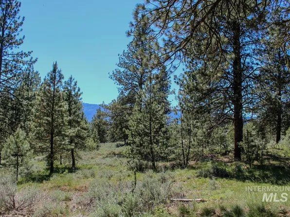 14 Pelican Pl, Cascade, ID 83611