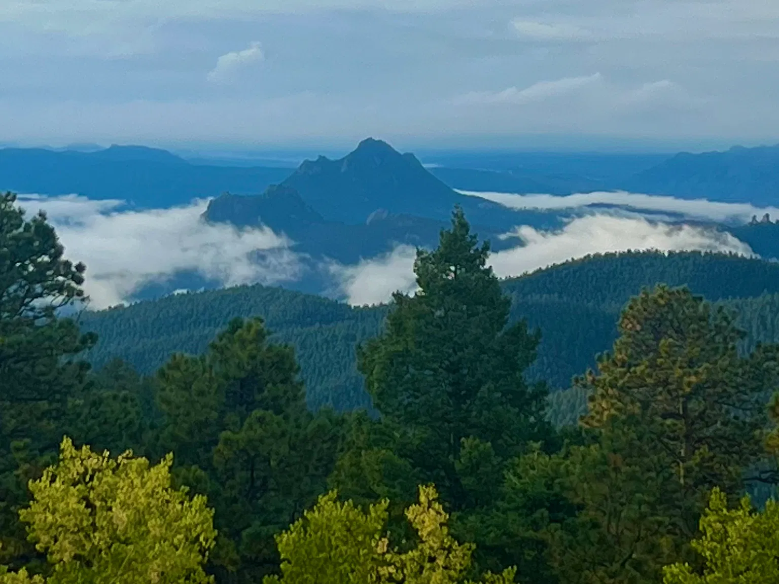 S Ridge Rd, Conifer — Photo 4