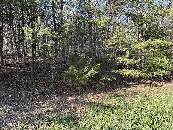 2nd image of 1 Timber Trl Lot 65J