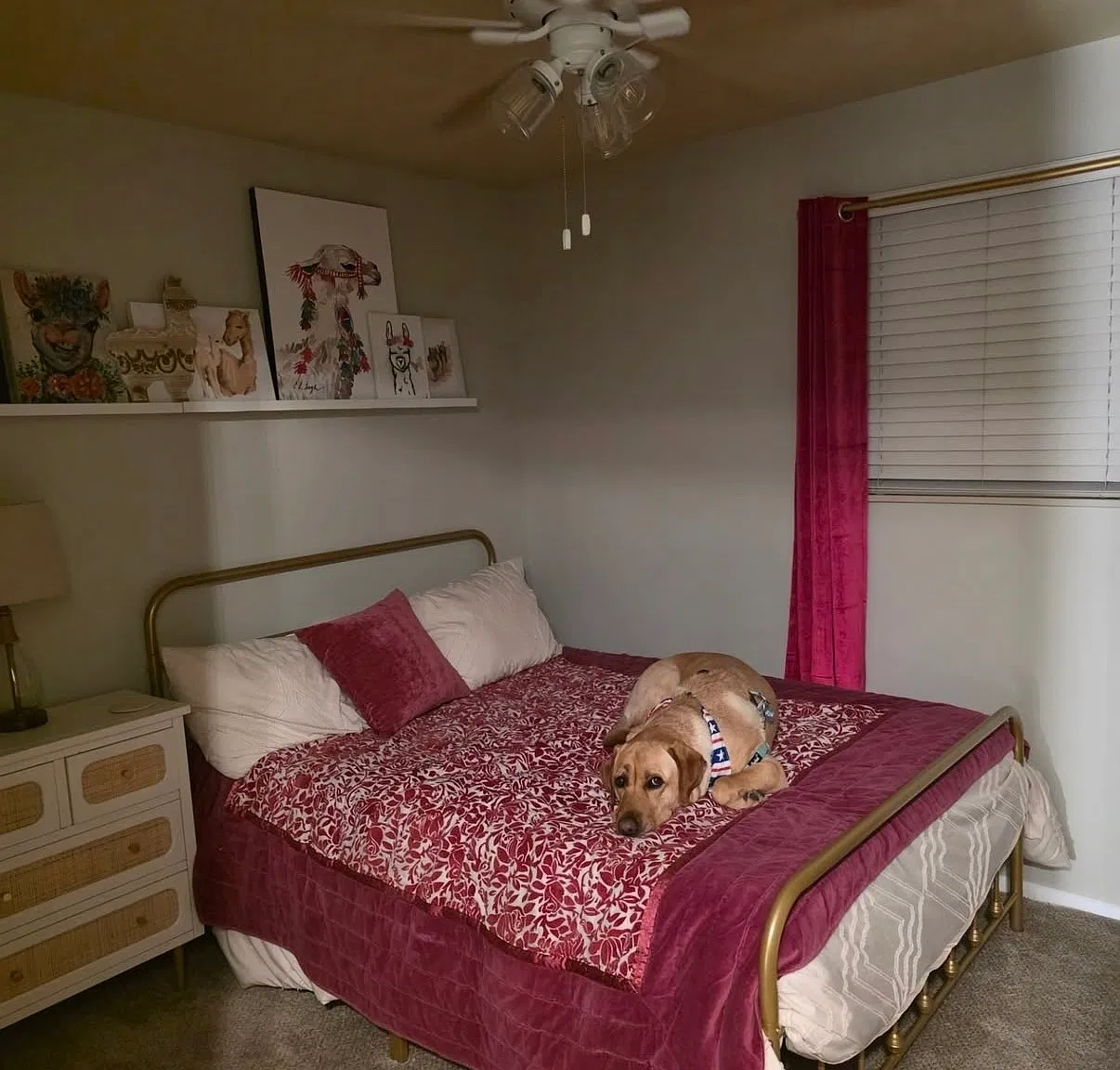 3 bed, 1801 sqft, $1,000 — Photo 4