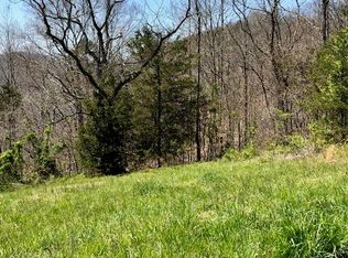 326 Tilmon West Ln, New Tazewell, TN 37825