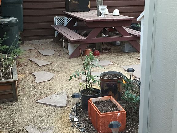 Back Yard B
