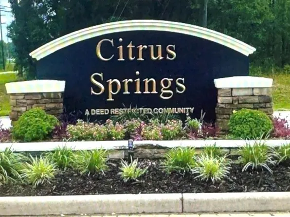 41 W Vince Pl, Citrus Springs, FL 34434