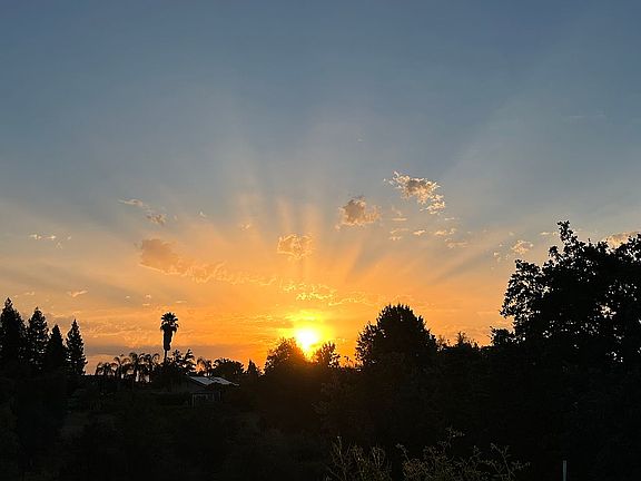 Backyard view of sunrise