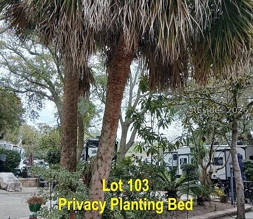 3rd image of 43 Jenkins Island Road UNIT 103