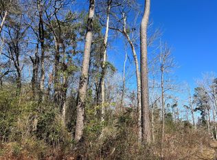 0 Pine Valley Dr, Shepherd, TX 77371