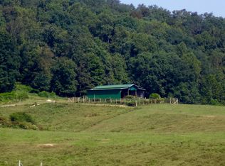 Dogtown Rd, Ten Mile, TN 37880