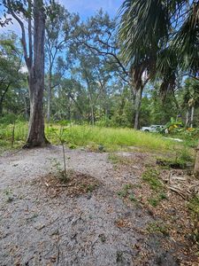 285 NE 543rd St, Old Town, FL, 32680