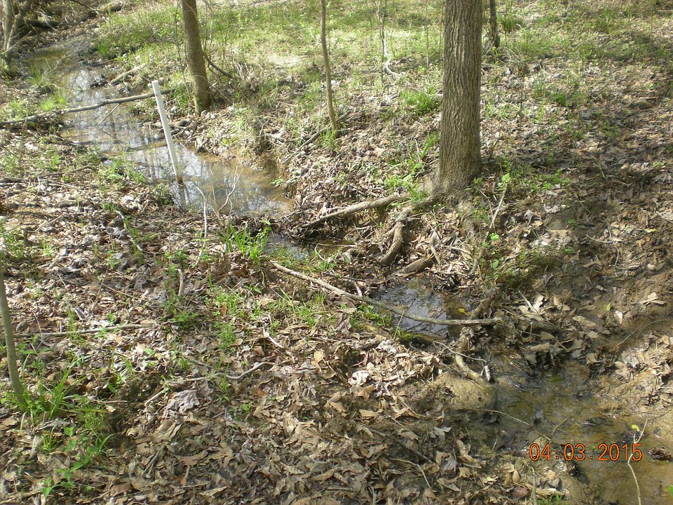 2nd image of 1453 Meadow Woods Rd