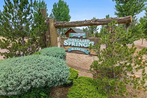 2274 Overgaard Springs Loop Photo 1
