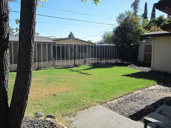 back yard from patio