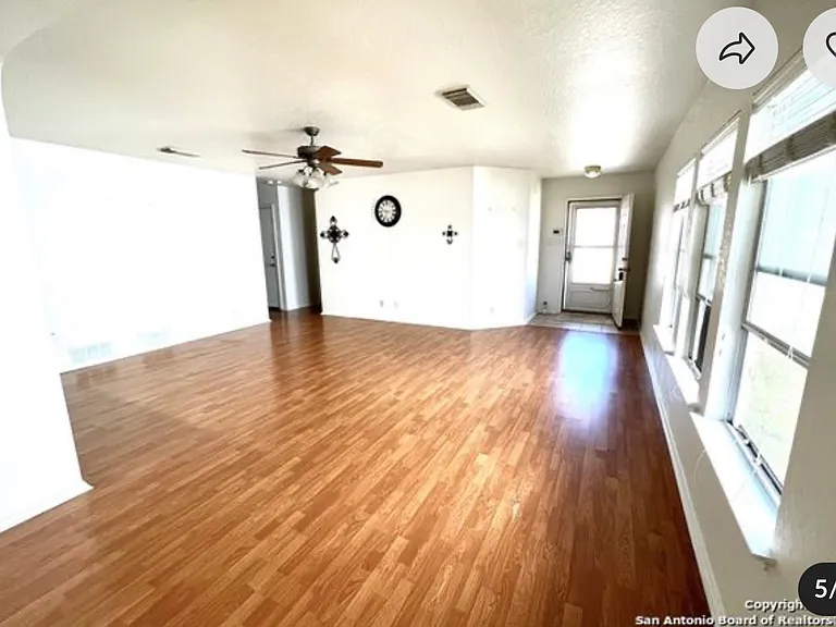7254 Dwarf Palm — Photo 2