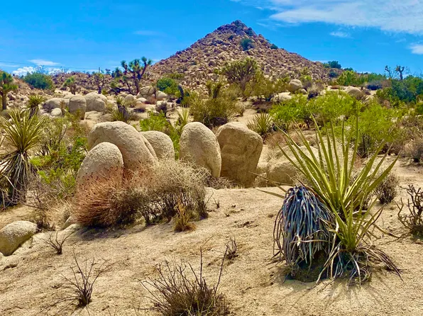 104 Bandera Rd, Yucca Valley, CA 92284