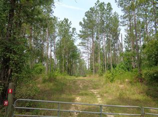 106 Connector Trl, Morris, GA 39867