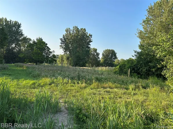 Vac Will Carleton Flat Rock, New Boston, MI 48164