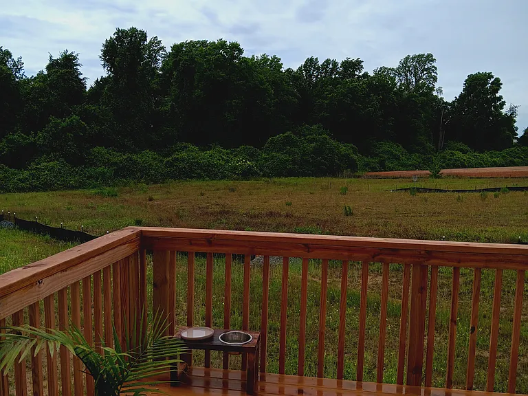 130 Alice Trace Pl — Photo 7