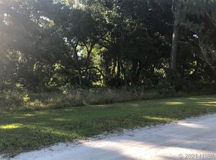 4659 Shady Oaks Ln, Edgewater, FL 32141