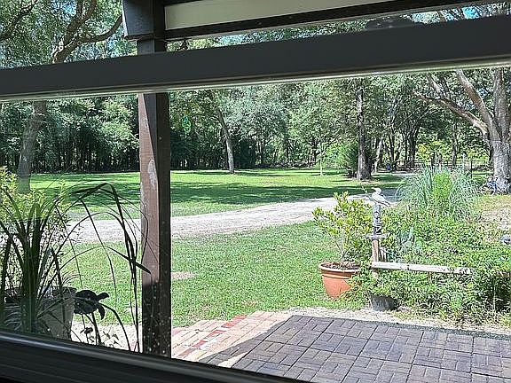 View out sink window