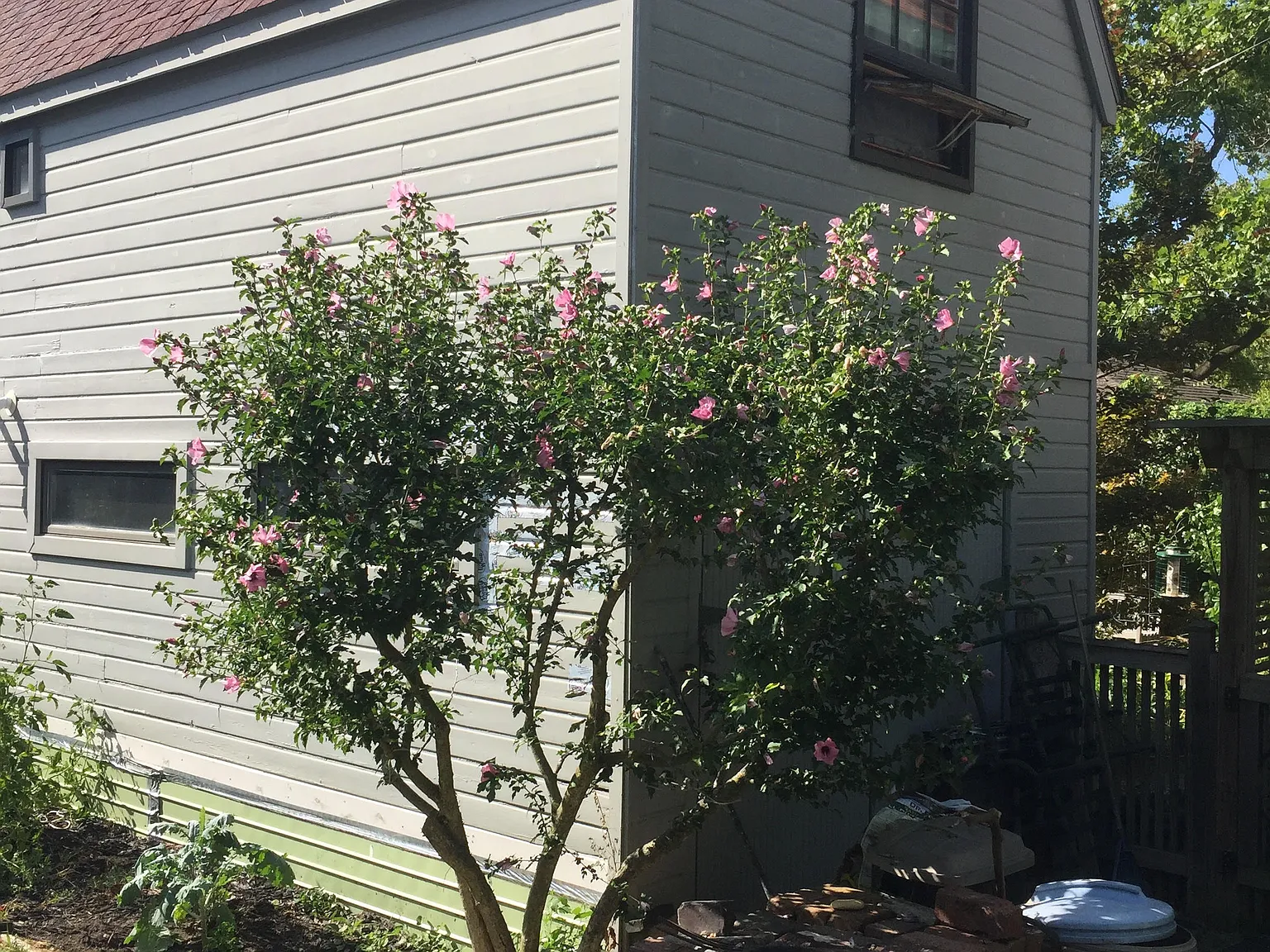 304 Virginia Ave — Photo 3