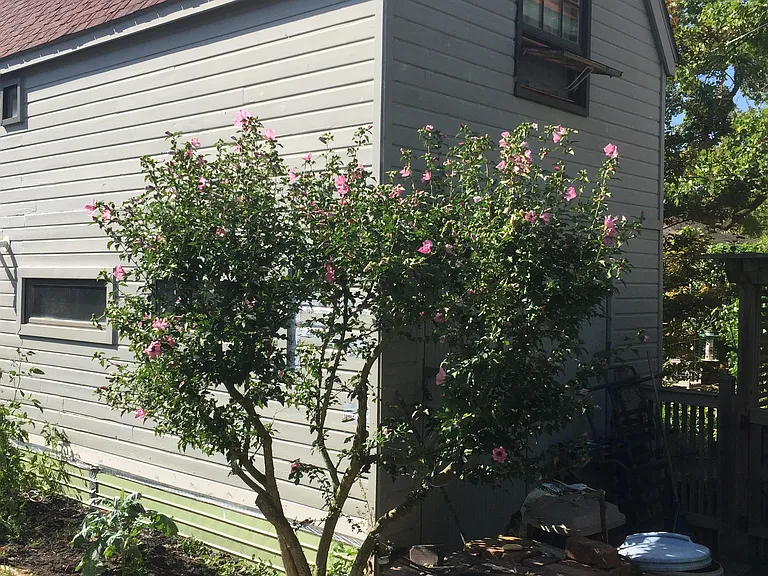 304 Virginia Ave — Photo 3
