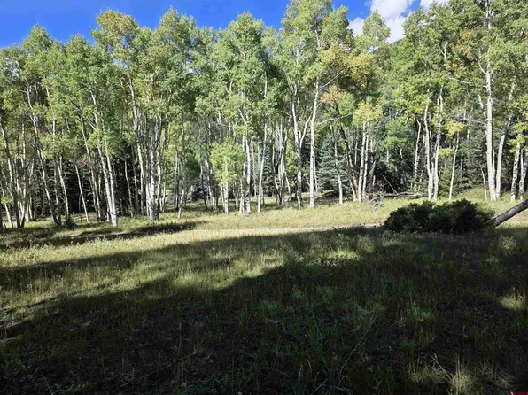 Lot 9 Forest Service Road 250, Jasper, CO 81144