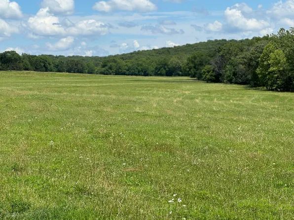 000 E Fork Lane, Marshfield, MO 65706