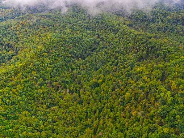 9999 Martin Hollow Rd, Stanton, KY 40380