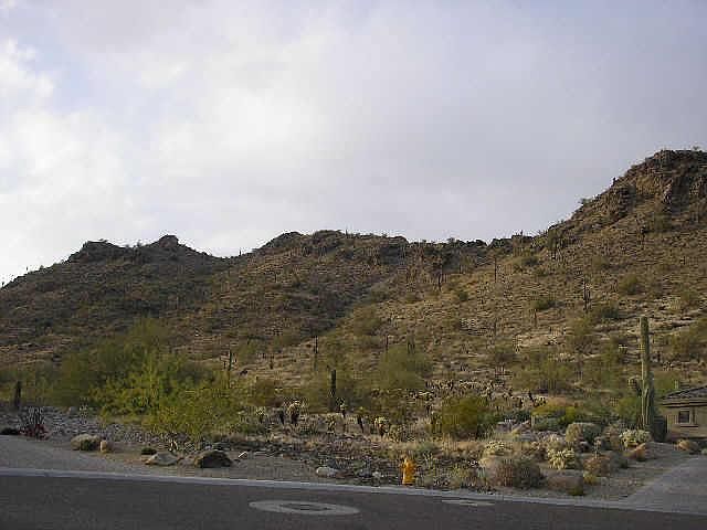 1st image of 27611 N 83RD --