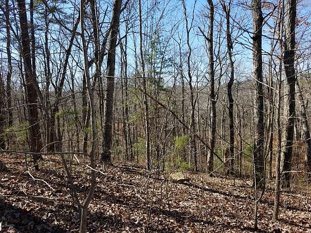 2nd image of 780 Blue Beech Dr