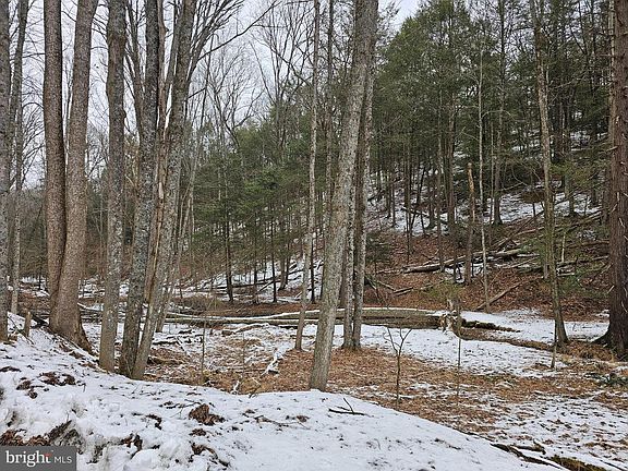 3rd image of 0 Spriggle Hollow Rd