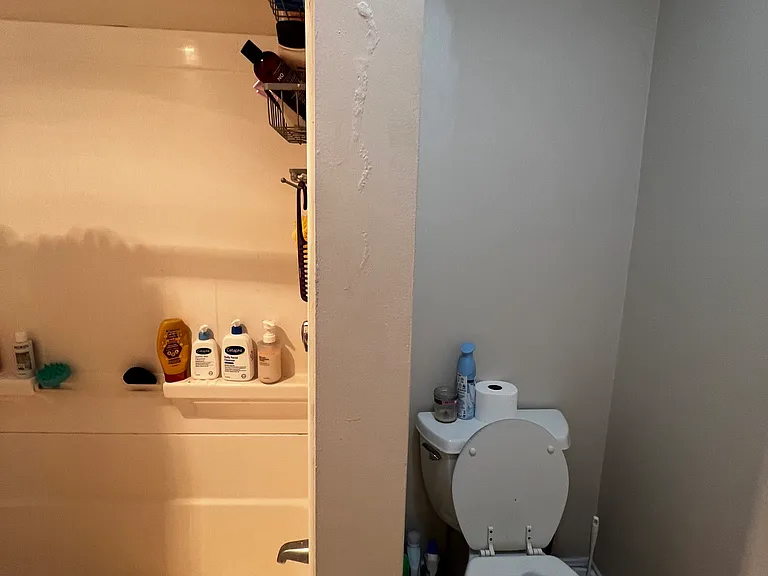 273 Pearl St #3 — Photo 14