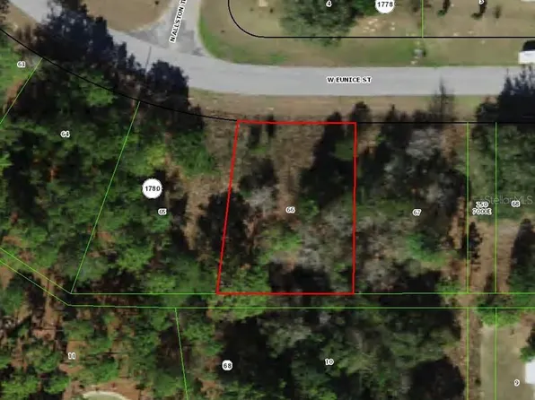 2924 W Eunice Dr Lot 66, Dunnellon, FL 34433