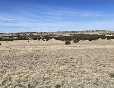 Bear Springs Trl, Model, CO, 81059