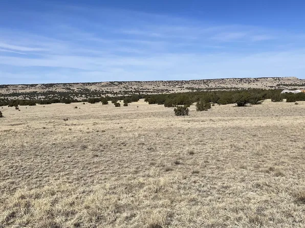 Bear Springs Trl, Model, CO 81059