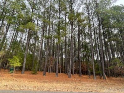 12 Vigoroso Ln, Hot Springs Village, AR, 71909