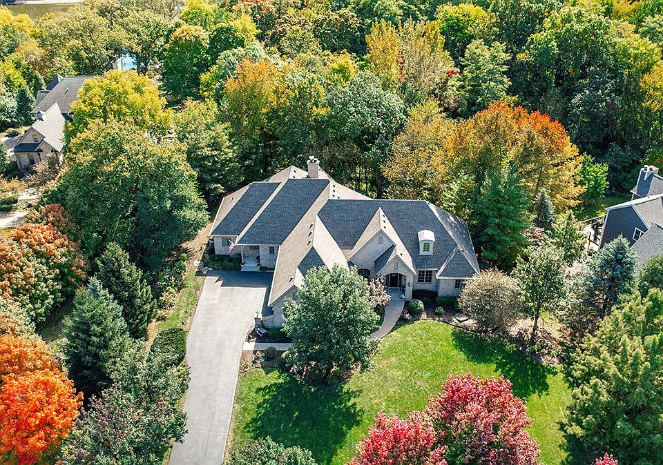 Glorious colorful trees surrounding