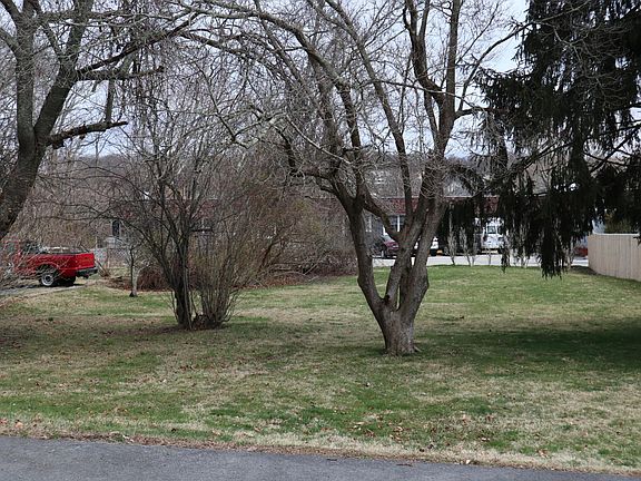 Large back yard with Fruit trees