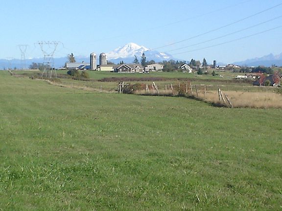 Mt. Baker View - Back Yard