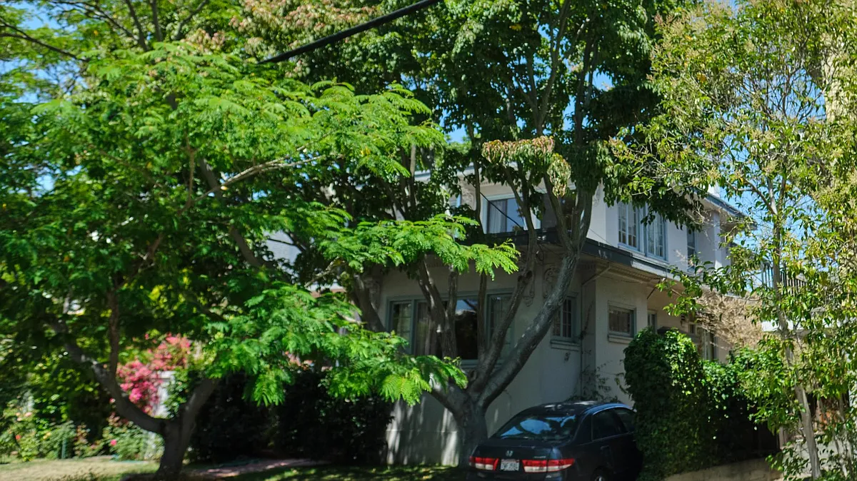 A large maple tree shades and screens the south facing home. - 2739 Stuart St #B
