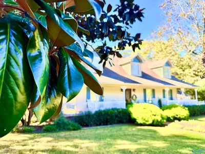 175 Matkin Cove Rd, Laceys Spring, AL, 35754