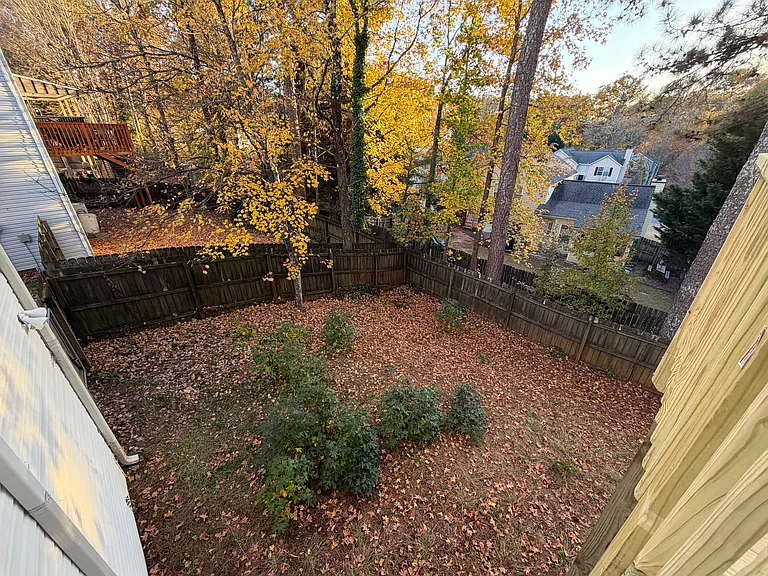 Fenced yard