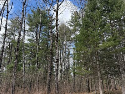 Lot 98 Balsam Court, Cable, WI, 54821