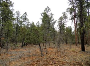 1091 W Sadler Ln, Lakeside, AZ --