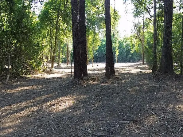 81295 S Morgan Rd, Folsom, LA 70437