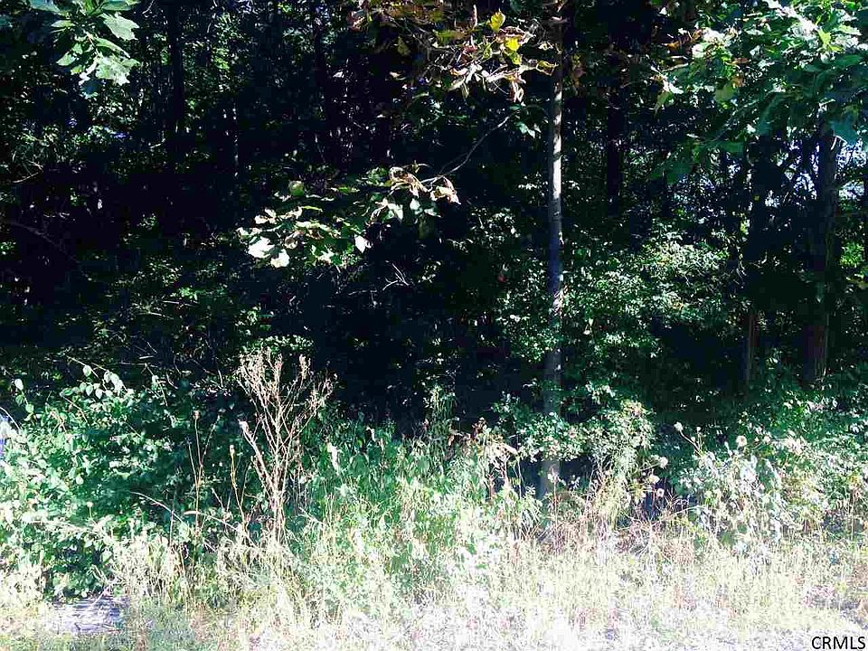 2nd image of 10 Collamer Rd