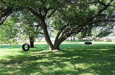 tire swing fun
